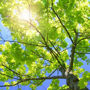 一级性生活片免费看
