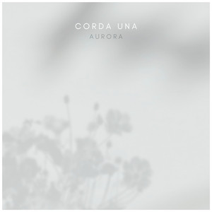 一级性生活片免费看
